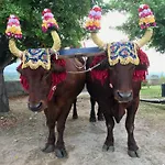 Il Giglio 게스트하우스