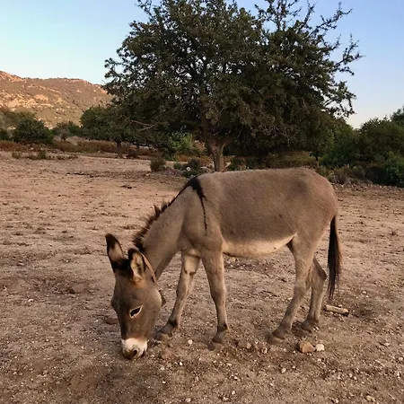 Il Giglio بيت ضيافة 3*