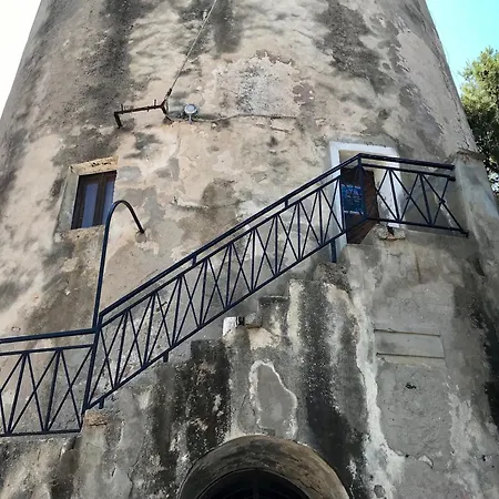 Il Giglio Tortoli